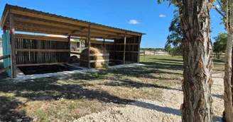 Haras de l'Ilatte Haras de l'Ilatte