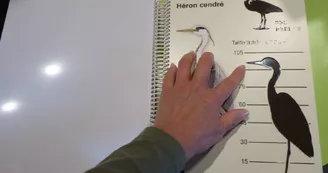 Espace d'accueil et muséographique de la réserve naturelle de Moëze-Oléron Espace d'accueil et muséographique de la réserve naturelle de Moëze-Oléron