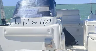 Au Fil de l'Ø Au Fil de l'Ø