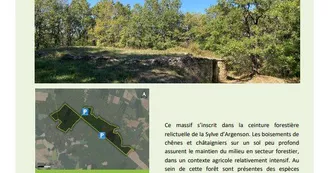 Forêt de la Boixe