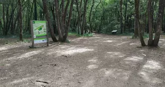 Parcours Explorama - Forêt de Benon Parcours Explorama - Forêt de Benon