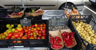 Marché de Linars