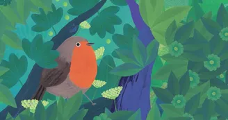 Exposition - Observons les oiseaux Exposition - Observons les oiseaux