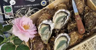 Huîtres Massé Huîtres Massé