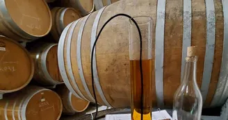 Daelly Cognac Daelly Cognac