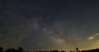 Les Stars de la Nuit Les Stars de la Nuit