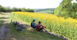 Chemin Barker Dronne Chemin Barker Dronne