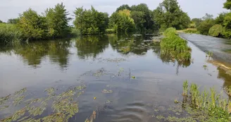 Le long de la Dronne Le long de la Dronne