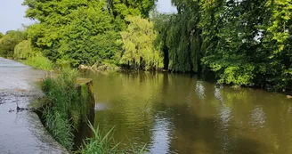 Le long de la Dronne Le long de la Dronne