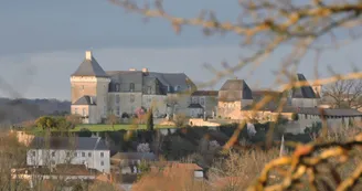 Vue sur le château de Chalais Vue sur le château de Chalais
