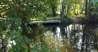 Rivière la Dronne - Poltrot Rivière la Dronne - Poltrot
