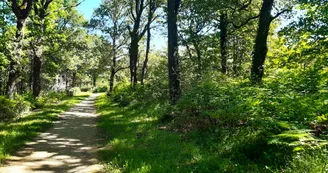 Bois de Soyaux Bois de Soyaux