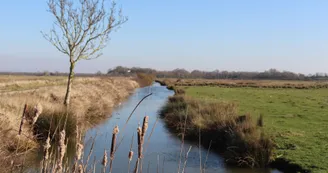 marais marais
