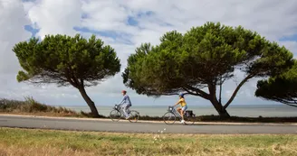 route des carrelets