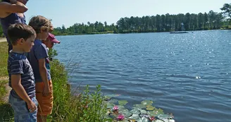 Circuit pedestre Landes de la Bonne aux Lievres N20 Lac de Montendre 2 Circuit pedestre Landes de la Bonne aux Lievres N20 Lac de Montendre 2