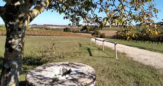 Circuit VTT Champagne sur la Voie Romaine N1 Haute-Saintonge Vignoble Cognac 3 Circuit VTT Champagne sur la Voie Romaine N1 Haute-Saintonge Vignoble Cognac 3