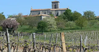 Circuit VTT N25 du Trefle Vignoble du Cognac voie romaine eglises romanes Nobla 2 Circuit VTT N25 du Trefle Vignoble du Cognac voie romaine eglises romanes Nobla 2