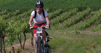 Circuit VTT Les Coteaux de l estuaire N14 Gironde Haute-Saintonge Taillon