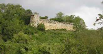 Circuit VTT Les Coteaux de l estuaire N14 Gironde Haute-Saintonge Taillon 3