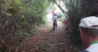 Circuit VTT N25 du Trefle Vignoble du Cognac voie romaine eglises romanes Nobla 28 Circuit VTT N25 du Trefle Vignoble du Cognac voie romaine eglises romanes Nobla 28