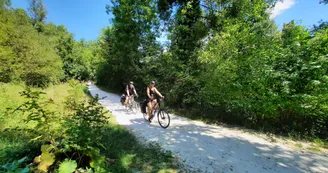 Flow Vélo Flow Vélo