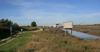 Les chemins de la Seudre_Bourcefranc-le-Chapus Les chemins de la Seudre_Bourcefranc-le-Chapus