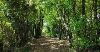 Sentier de Bois Breuillac - Villefagnan_Villefagnan Sentier de Bois Breuillac - Villefagnan_Villefagnan