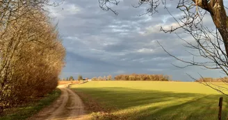 Sentier de la Fournière version courte - Villefagnan Sentier de la Fournière version courte - Villefagnan