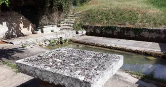 JAULDES-Treillis-lavoir JAULDES-Treillis-lavoir