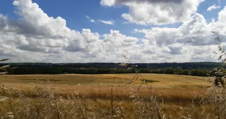 panorama panorama