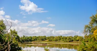 marais marais