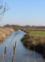 marais