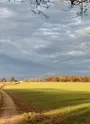 paysage de plaine