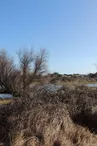 Marais de la Perroche