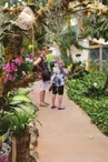 Serre tropicale des Antilles de Jonzac