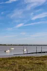 Port de Port-des-Barques