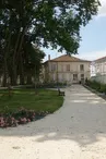 Les Platanes Centenaires du Jardin Public