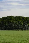 Mégalithes "Le Gros Dognon"
