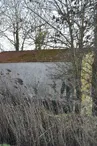 Hors les murs, à la Cabane de la Craie “Le marais de Brouage à l’abri !”