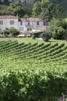 Cognac Courtin