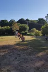 Aire de Pique-nique La Jalousie