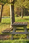 Aire de pique-nique - Salles-les-Aulnay