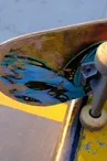 Skate-park